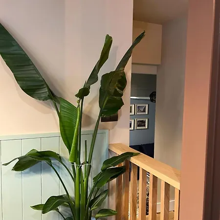 Casa Aturuxo * Belesar