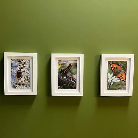 Casa Aturuxo * Belesar